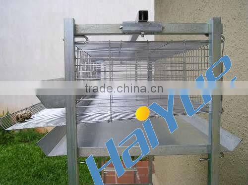 Quail battery cages for sale