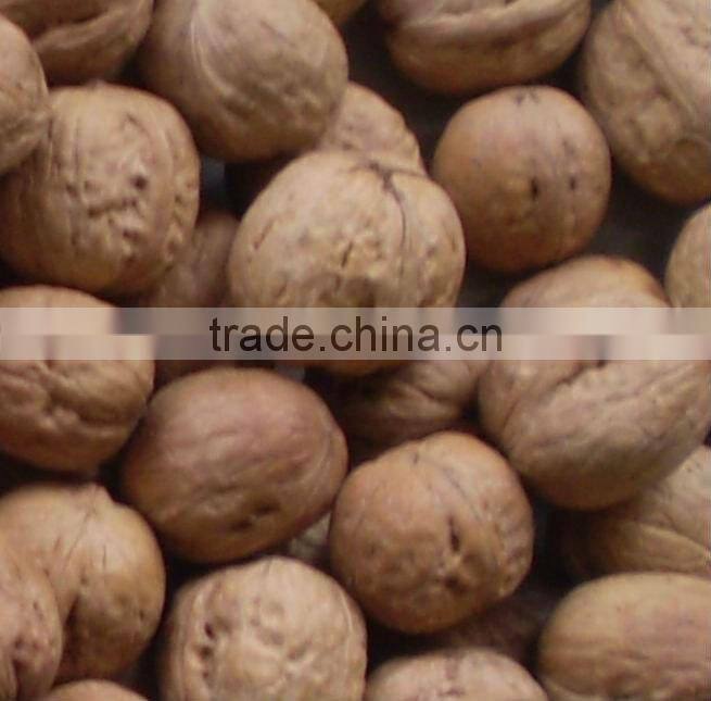 Jiexun K series ccd walnut sorting machine