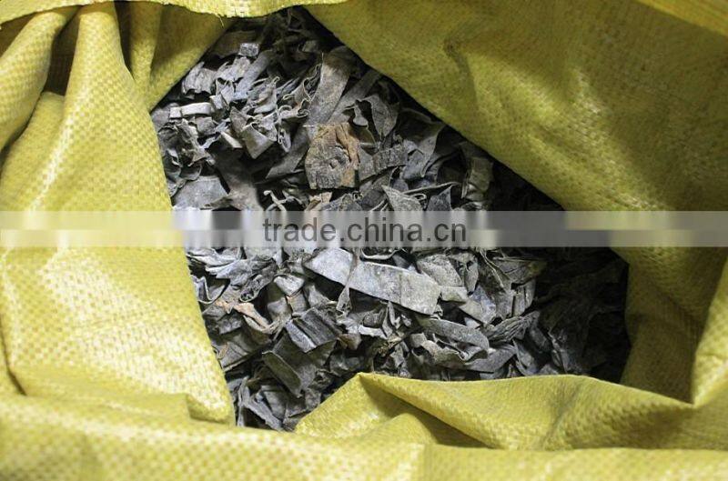 Feed Grade Kelp/Laminaria abalone fodder
