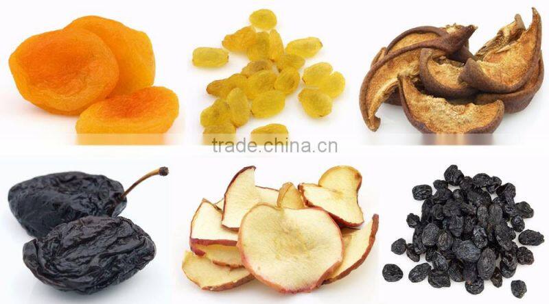 2016 New Type Stable Working Fruit Dryer