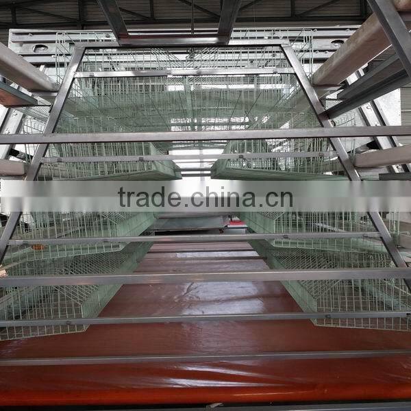 poultry farm equipment/chicken cage/quail cage