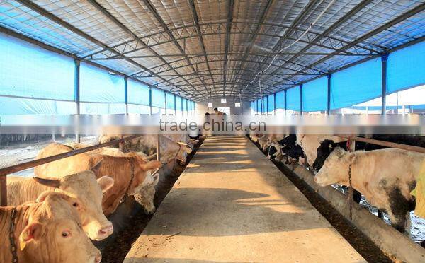 steel structure cattle house