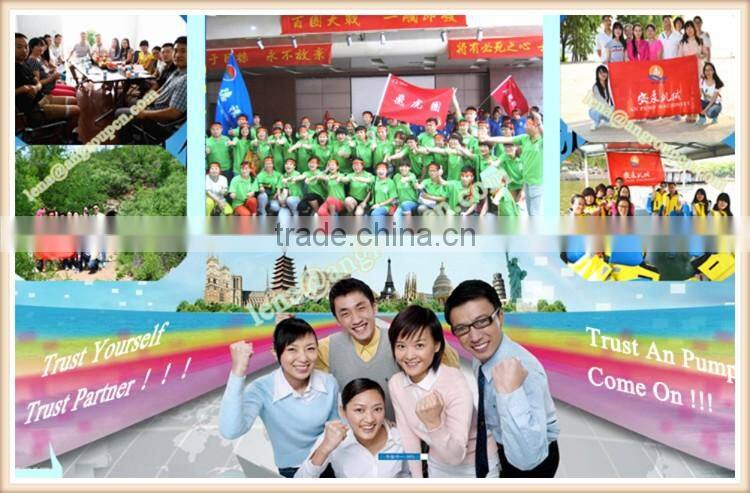 CE certification Power station flue gas desulphurization gravel & dredge slurry pump