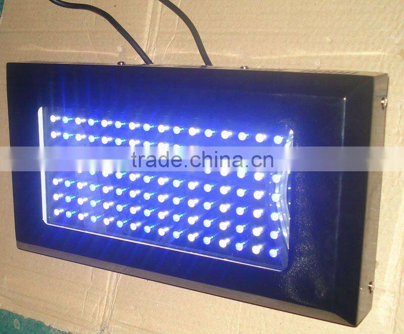 marine aquarium LED lighting