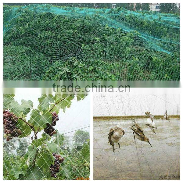 2014 hot sale hdpe anti bird protection net