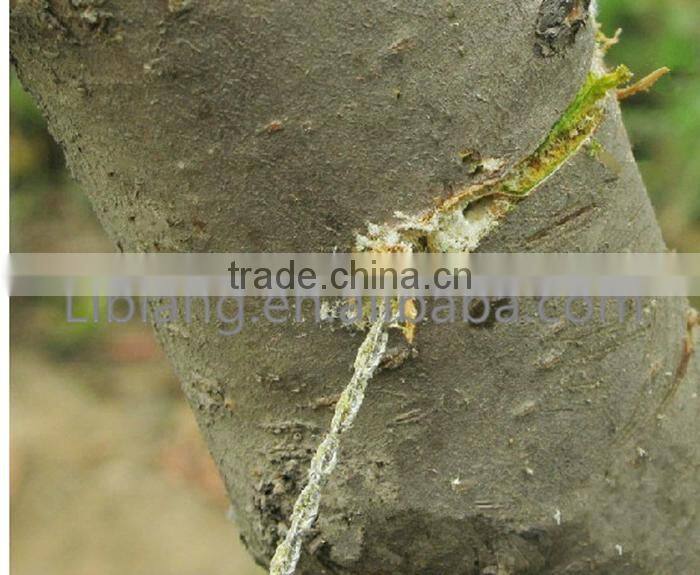 Multipurpose outdoor pocket survival tool