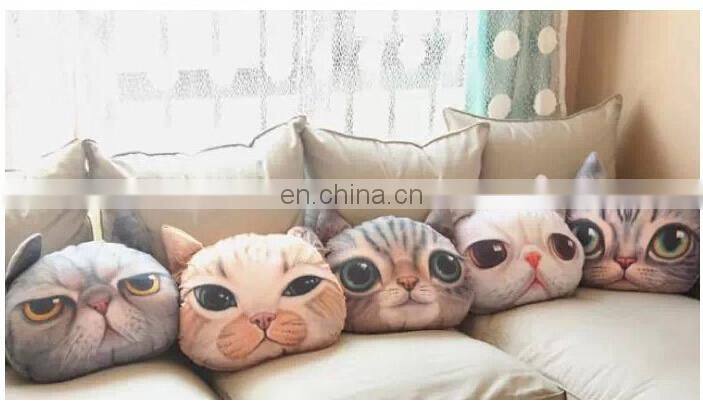 Custom Cartoon Cat Printed Pillow