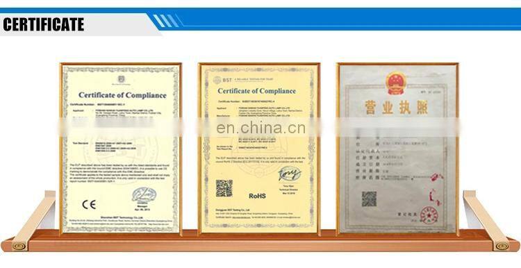 Factory Price Diesel Engine Fuel Pump Repair Kit 2417010003 800002