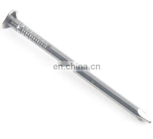 Common nail in galvanized finishing