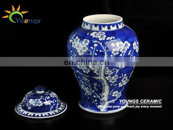 Chinese Antique Qing Kangxi Reproduction Hand Painted Plum Ceramic Porcelain Ginger Jar Temple Jars