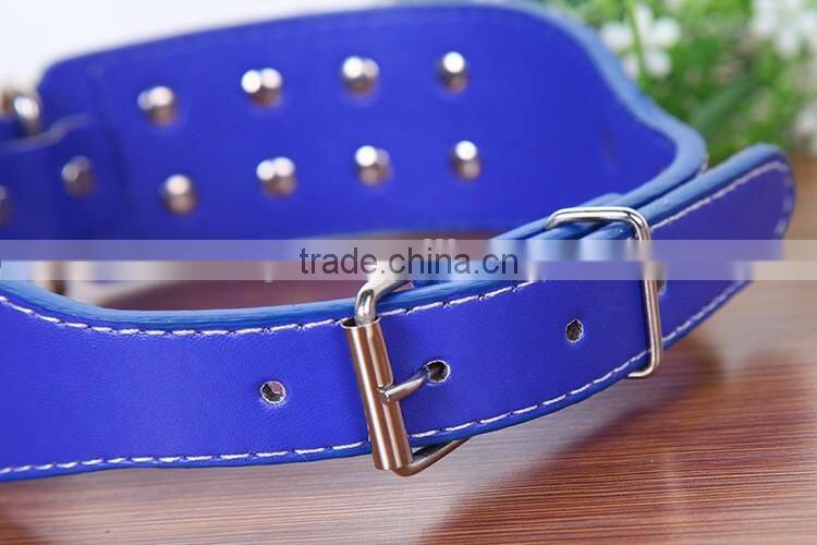 Pet supplies classic 5.0 cm 16 nails wholesale pet dog collar