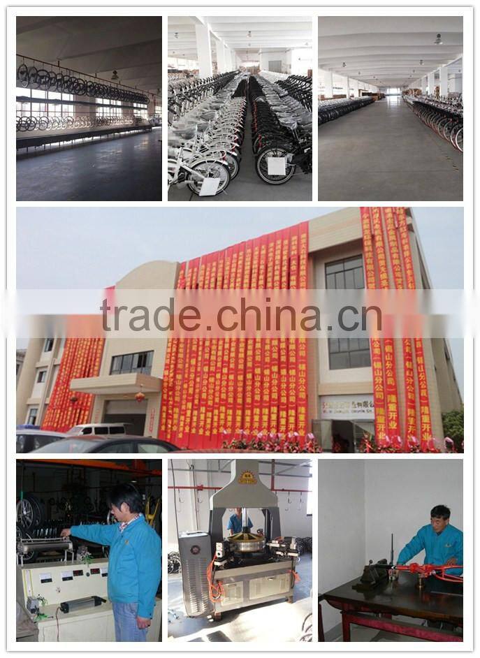 Knight electric bicycle with rear suspension