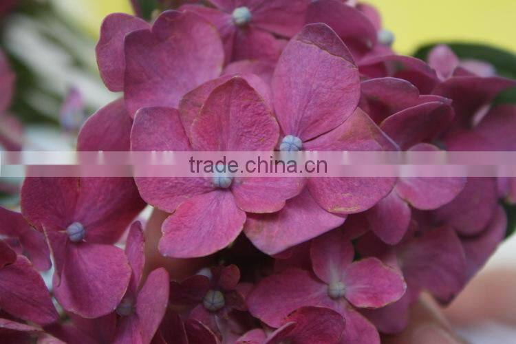 Wide varieties classical flower bouquet hydrangea hotel floral decor