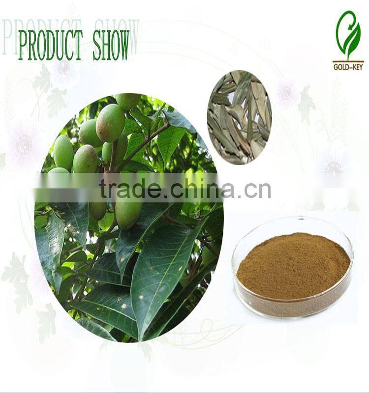 Hot Selling Olive Leaf Extract in Herbal Extract