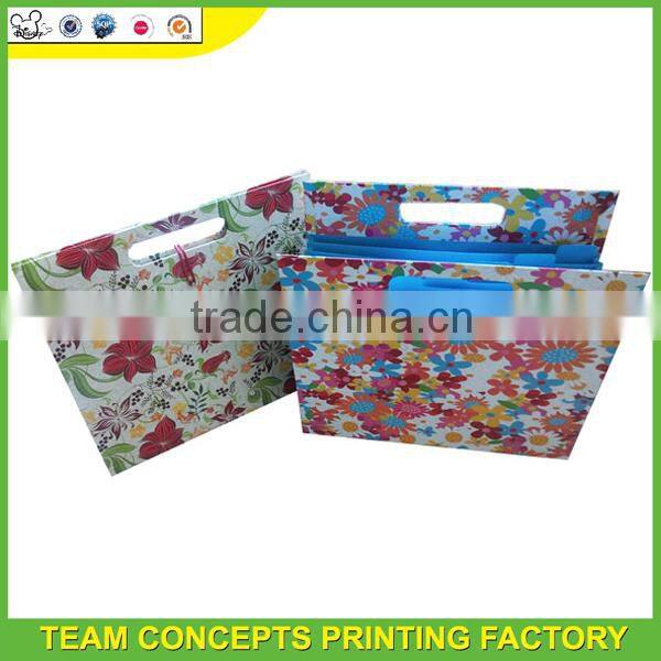 School decorative expanding file folders