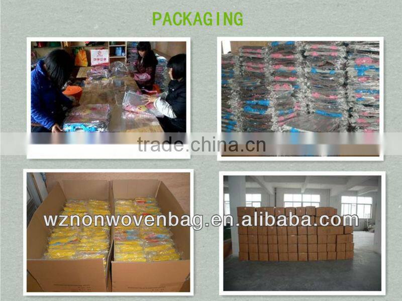 2014 eco friendly tote 80g non woven promtoin bottle bag(HL-6072)