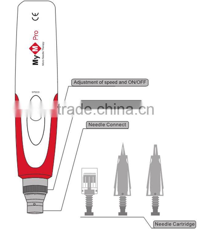 Christmas promotion dermaroller pen 36 or 42 pins pen from Beir DNS60