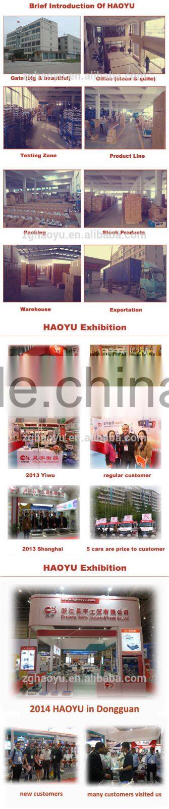 300kg 500kg portable platform weighing scale