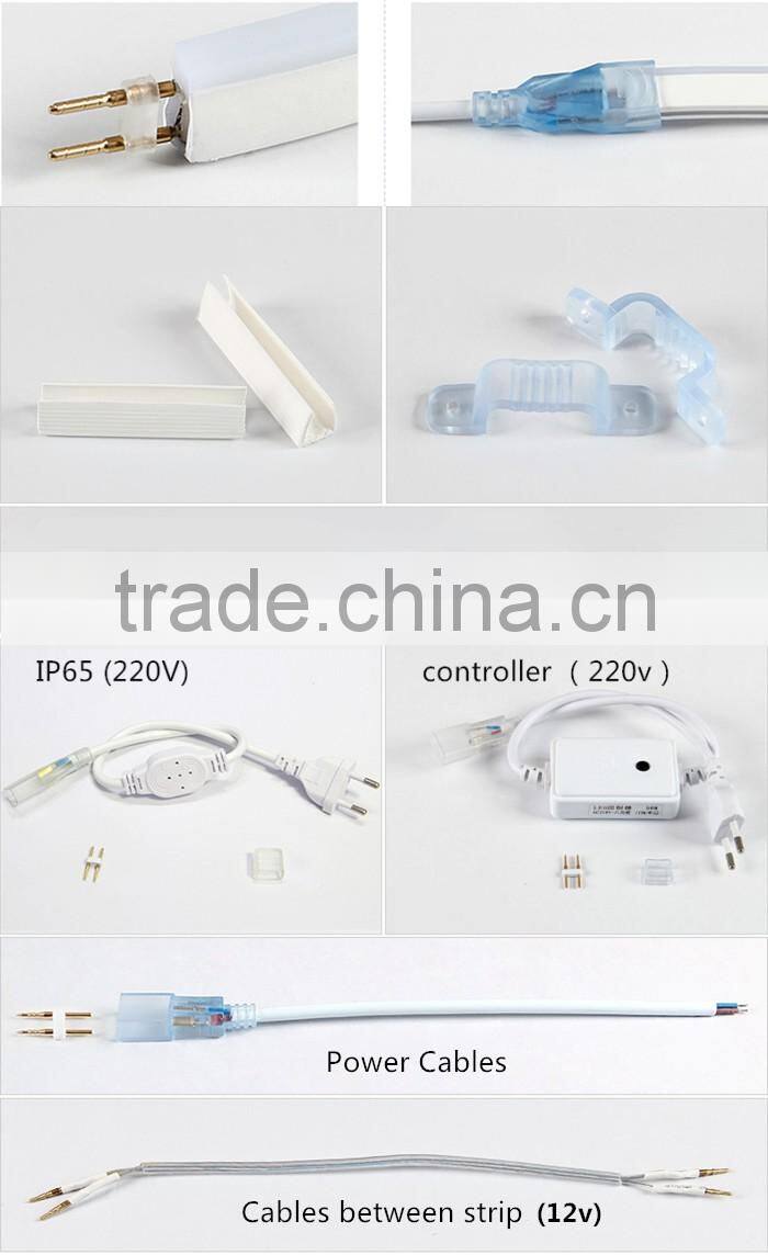 220v/ 12v Outdoor LED Flexible Neon Strip Light for Building Decoration
