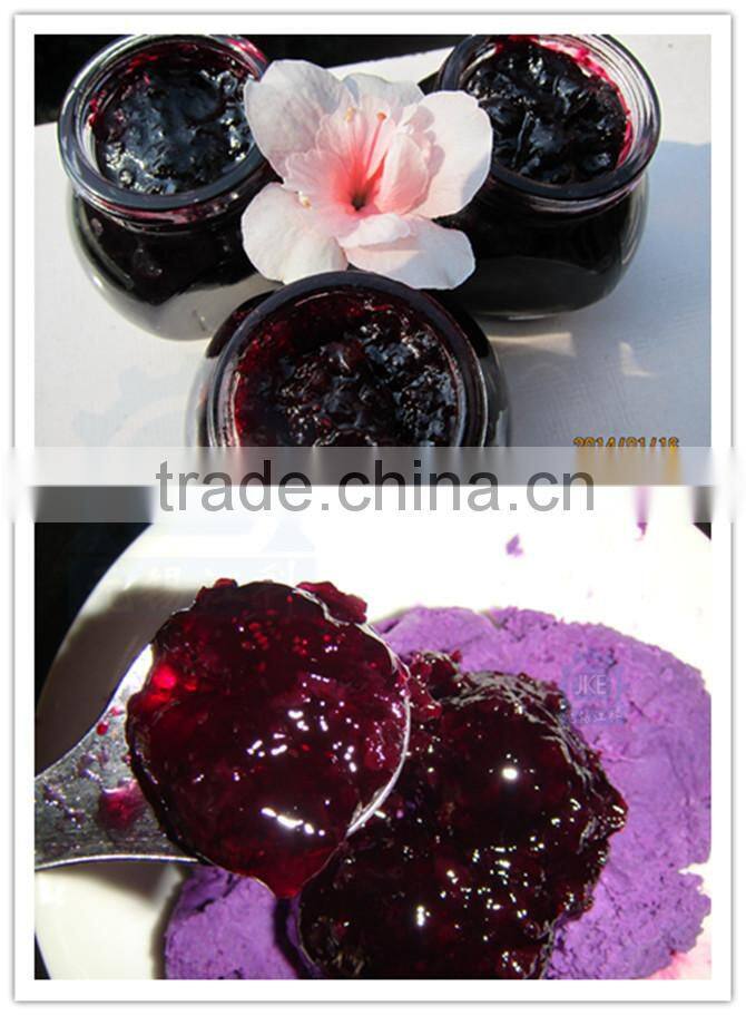 Mixing Equipment for Bakery Sauce/Salad Dressing/Fruit Jam Making