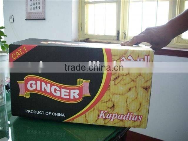 shandong ginger