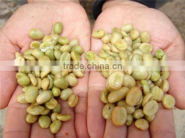 2016 coffee pulper machine | coffee bean pulp machine | coffee bean pulping machine