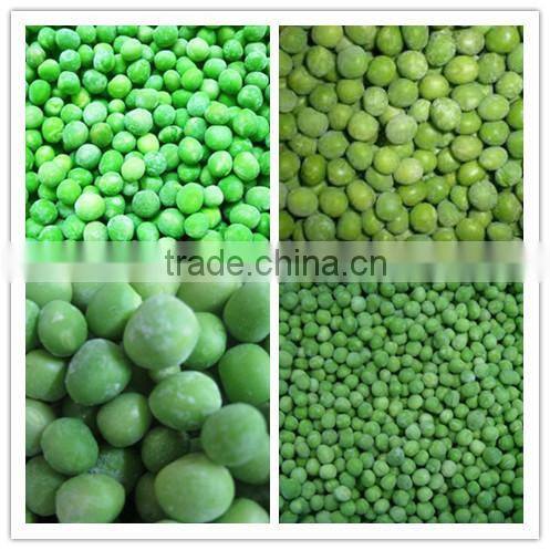 China good price IQF Frozen green peas