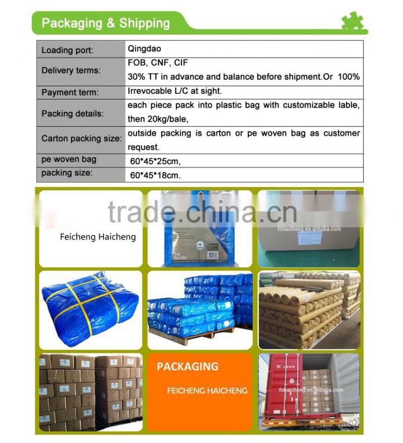 Heavy Duty Waterproof Rolls PE Tarpaulin