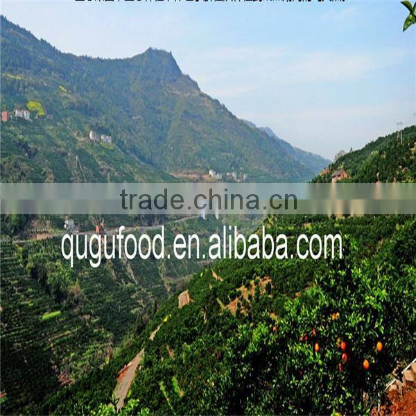 2014 New crop orange jam manufacturer wholesale