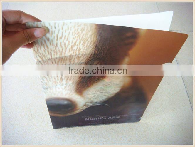 fc size paper file folder,2d ring file folder