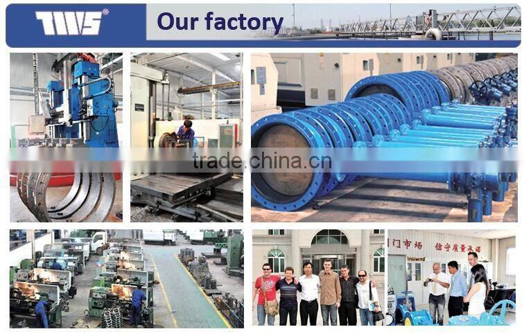 DN50 PN10 Cast Iron Handle Leve Screw End Wafer Butterfly Valves