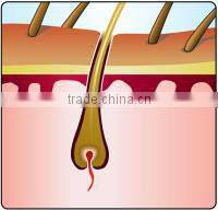 Best hair removal ipl photo epilation ipl and pigmentation home use