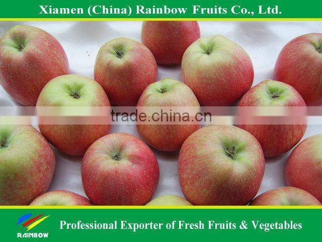 wholesale fruit prices