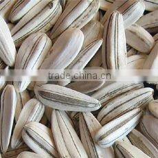 Sunflower kernel chips