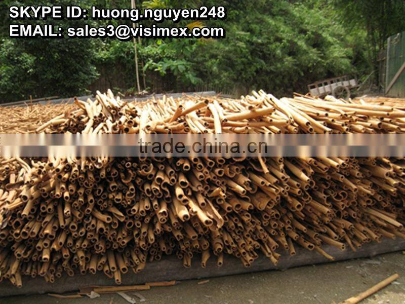 Cassia/cinamon Stick - BEST PRICE, HIGH QUALITY