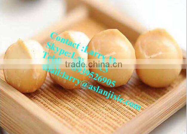 macadamia nut opening machine/macadamia nut tapping machine