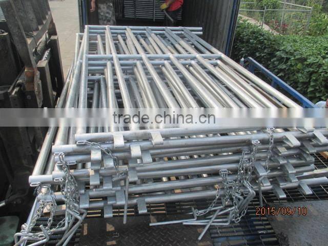 Metal livestock corral panels powder coated