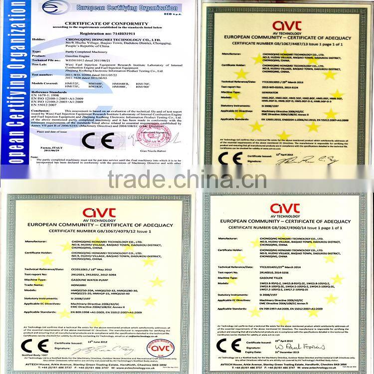 Egypt Digital Type 2Kw Gasoline Generator 6.5 Hp