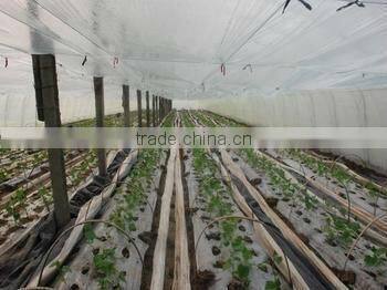 PE agricultural film/PE greenhouse film/PE mulch film