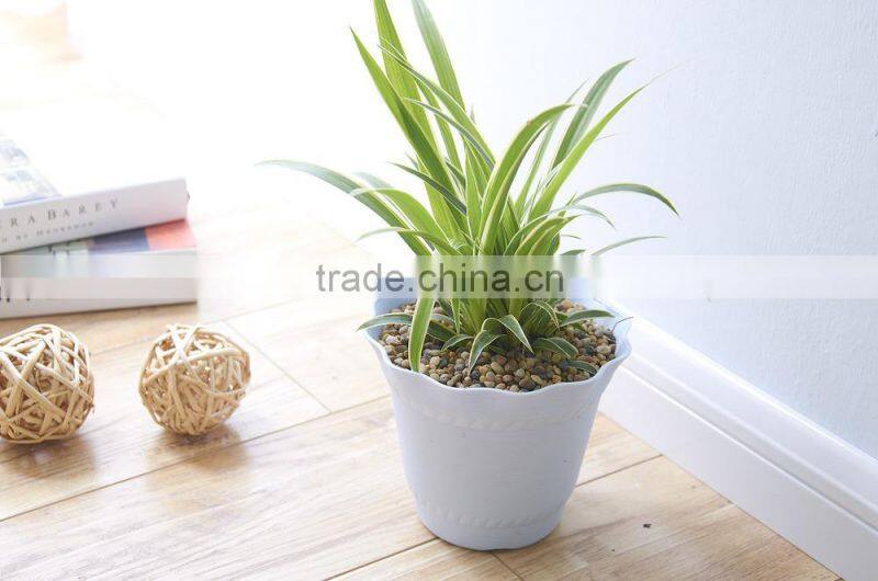 Fashional Design Lotus Shaped Plastic Plant Flower Pot which has 6 Kinds of Colors