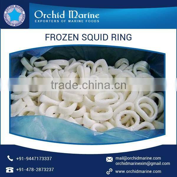 Rich Aroma Dried Squid Rings with No Added Chemicals or Preservatives