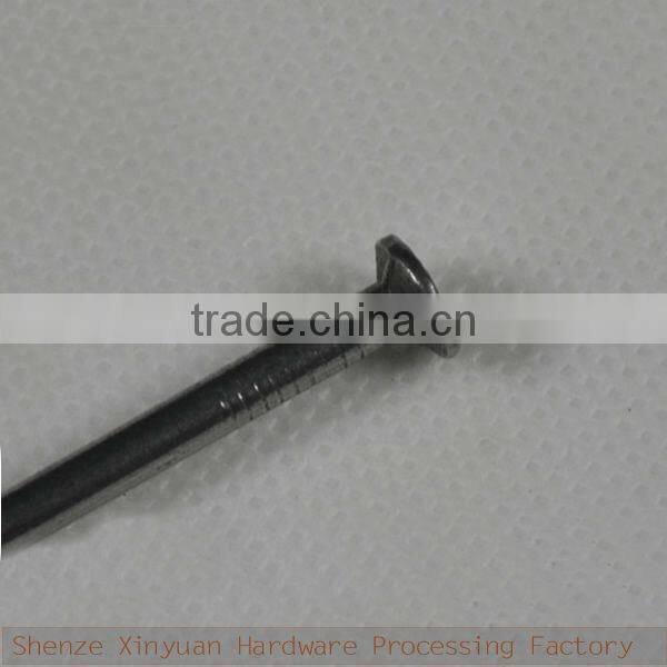 1/2''~7'' polished galvanized common nails factory/concrete nails factory