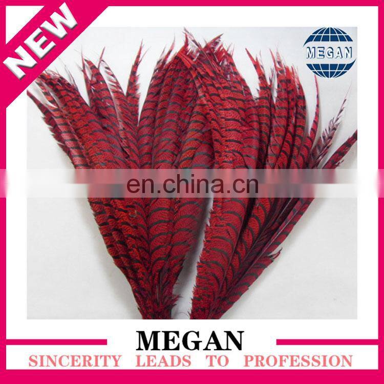 decorative long reeves pheasant feathers