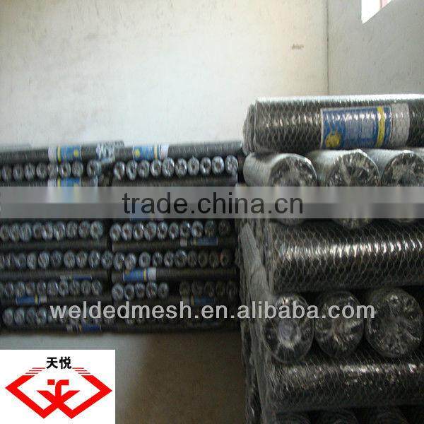 hexagonal wire mesh(tyd)