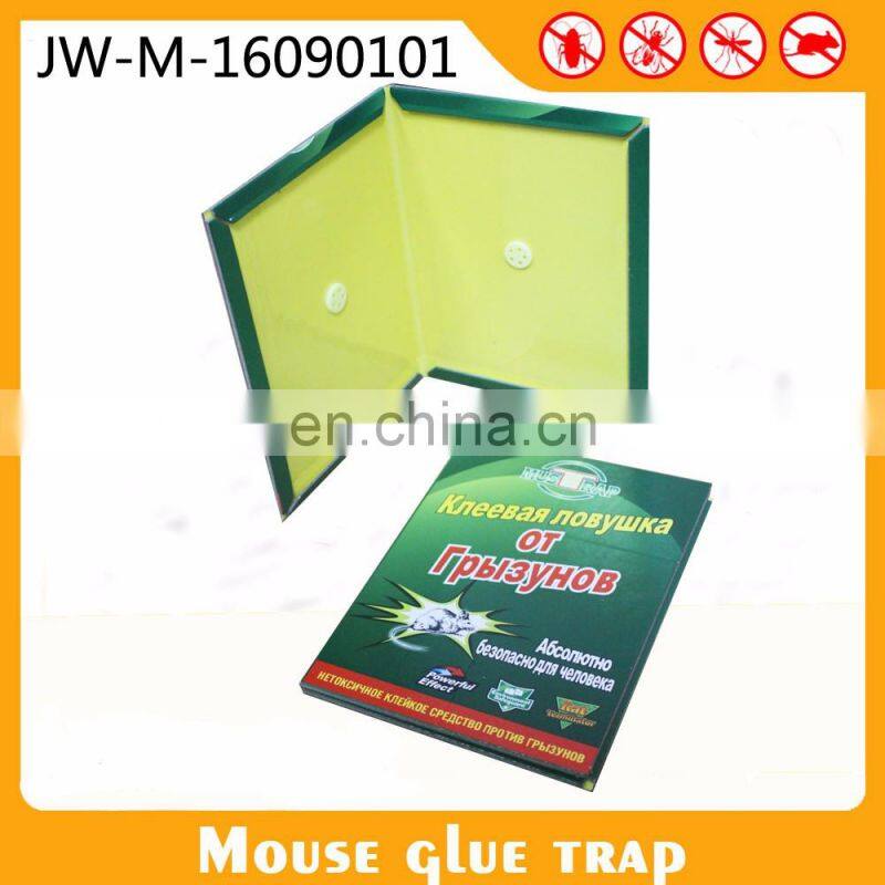 Glue Pad For Rat Mouse & Insect Glue Board Sticky Trap Mouse Killing Glue