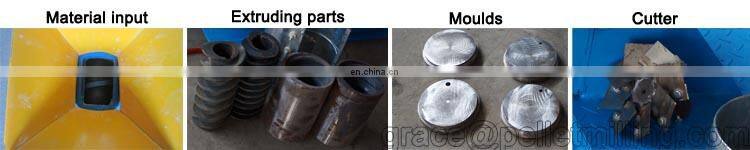 Small Animal Pet Catfish Shrimp Food Making Extruder Floating Fish Feed Pellet Machine