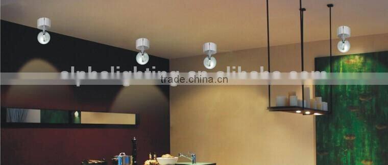 Dimmable Adjustable 10W COB LED Wall Surface Spot Light with HEP driver