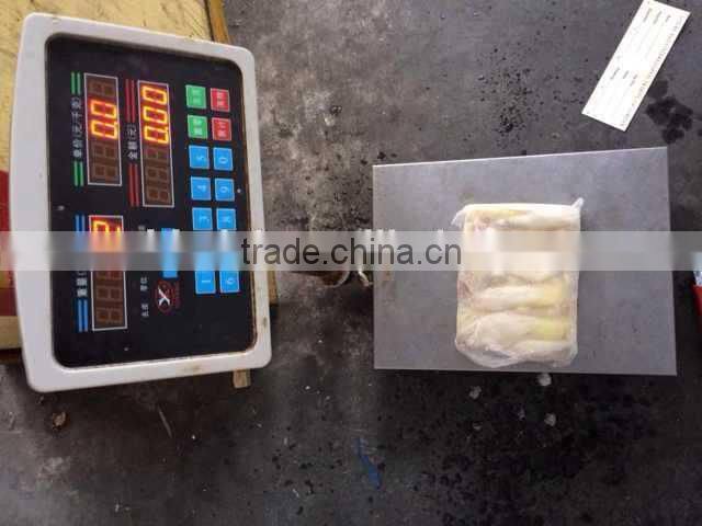 Frozen illex squid roe