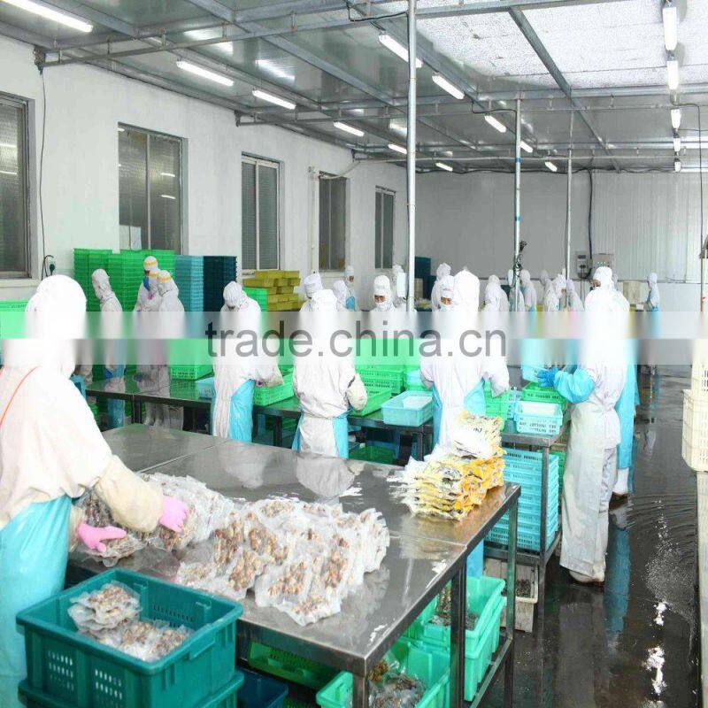 Frozen Cooked Short Necked Clam