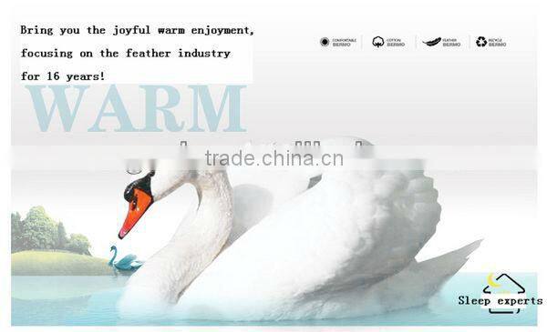 2015 New Style White Goose Down Comforter